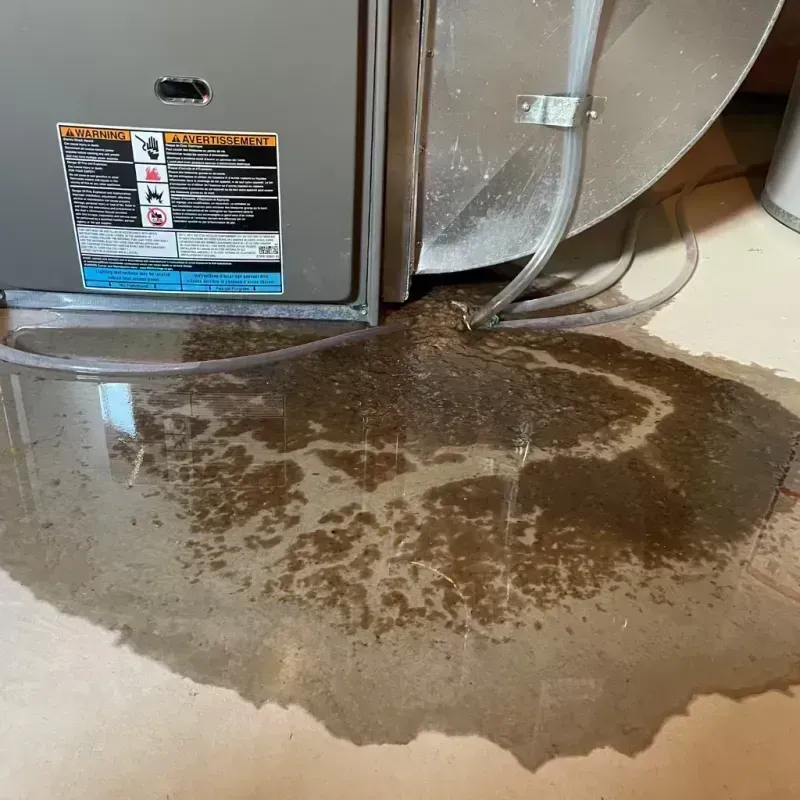 Appliance Leak Cleanup in Dixon, IL